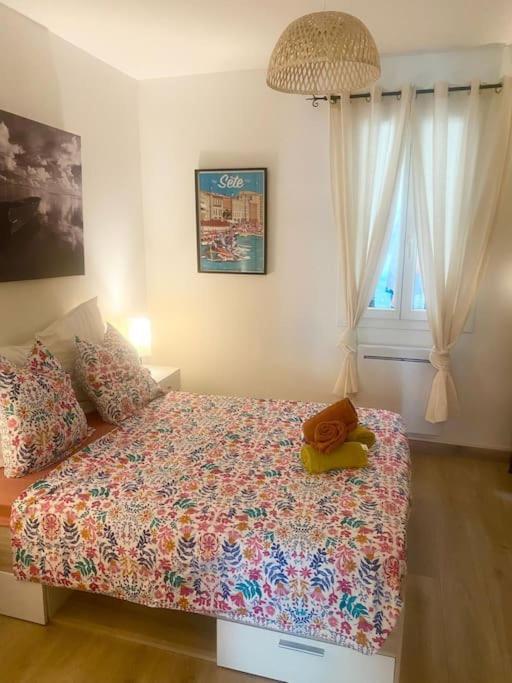 Appartement Neuf Cosy Centre Ville Quartier Haut Sète Extérieur photo